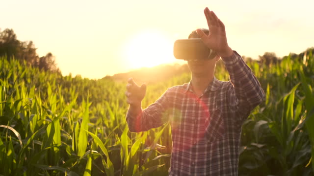 El-futuro-agricultor-utiliza-gafas-de-realidad-virtual-para-gestionar-las-plantaciones-de-maíz-y-controlar-la-calidad-de-las-plantas-al-atardecer-en-el-campo
