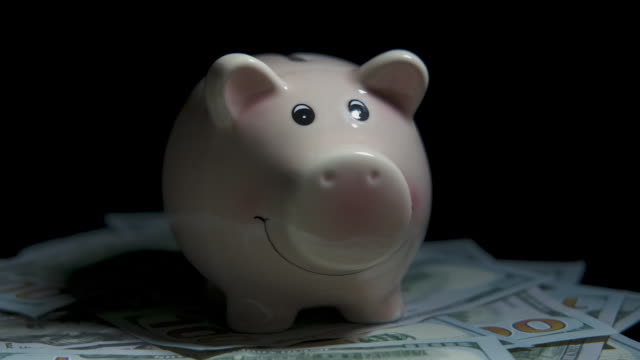Schweinchen-ist-auf-dem-Geld.