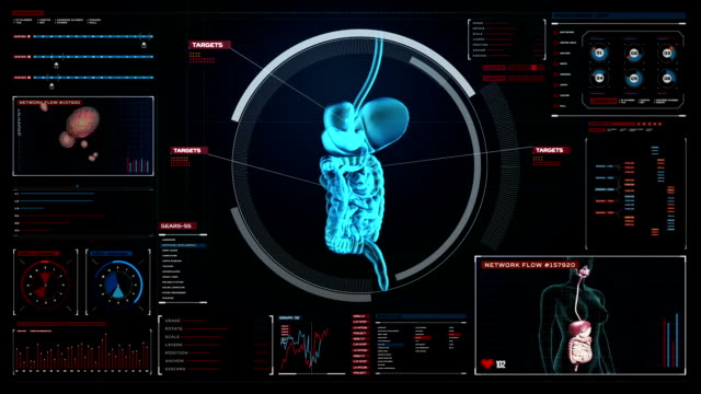 Zoomen-Körper-scannen-innere-Organe,-Verdauungssystem-in-digitaler-Anzeige.