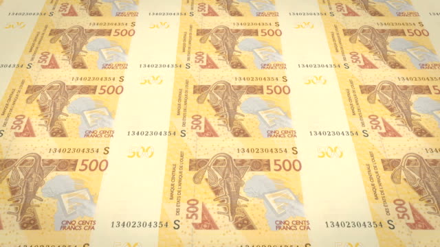 Banknoten-der-fünfhundert-westafrikanischen-CFA-Franken-von-Afrika,-Bargeld,-Schleife