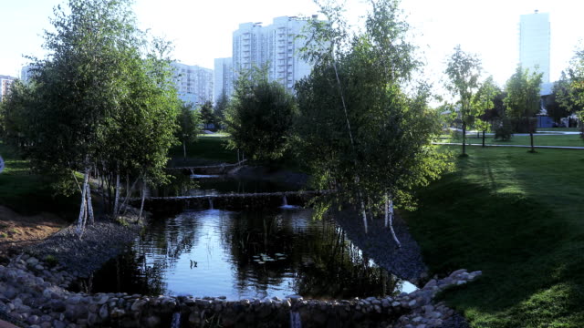 Cascade-pond-in-the-park