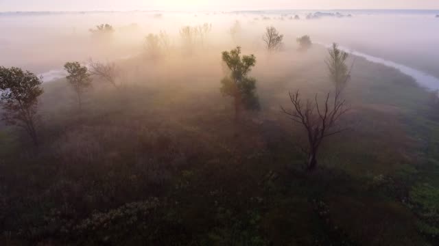 Luftaufnahmen-Video-von-nebligen-Morgen.-Fliegen-über-den-Fluss-Desna.-Sonnenaufgangszeit.-Kyiv-Region,-Ukraine.