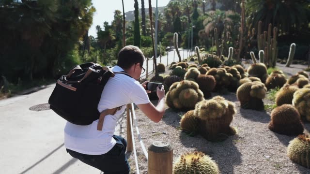 El-hombre-está-fotografiando-plantas-de-cactus-redondas-en-el-jardín-en-verano