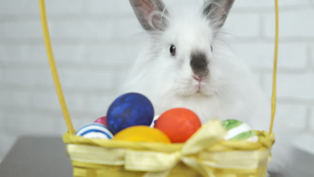 Conejo-de-Pascua-blanco-con-una-cesta-de-huevos.