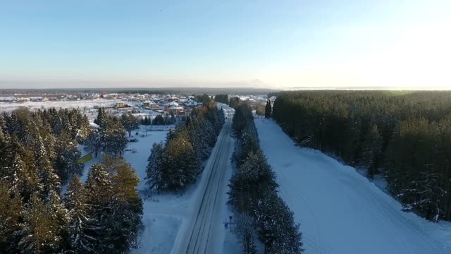 Luftbild-der-Winterhaussiedlung-in-einem-Wald
