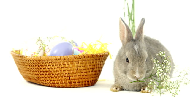 Easter-eggs-in-wicker-basket-and-Easter-bunny