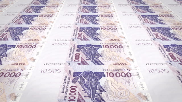 Banknoten-der-zehntausend-westafrikanischen-CFA-Franken-von-Afrika,-Bargeld,-Schleife