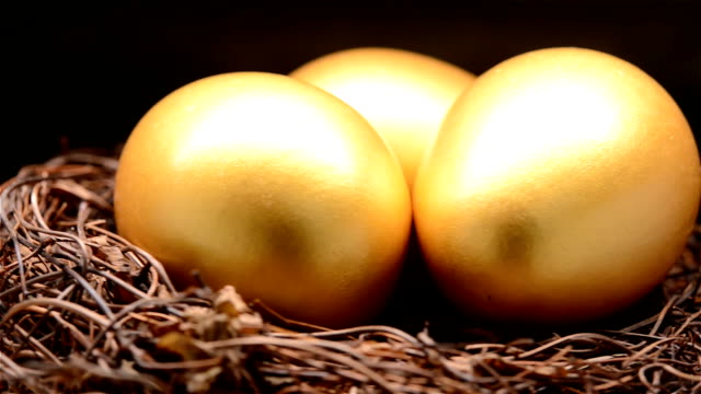 gold-eggs-on-nest-rotating