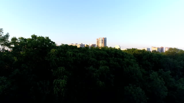 Parque-de-la-ciudad,-verdes-árboles-y-edificios-altos.-Fotografía-aérea.
