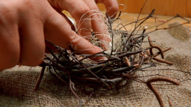 Frauenhände-sammeln-ein-Nest-aus-Zweigen