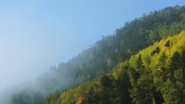 Nebelhder-Morgen-auf-dem-Herbstberg.-Nebelwolken-steigen-schnell-über-waldüber.-Zeitverstrichen