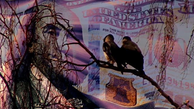 dos-cuervos-ver-bandera-100-dólares-ondeando-en-atardecer-nuevo-único-humoristic-dinámica-material