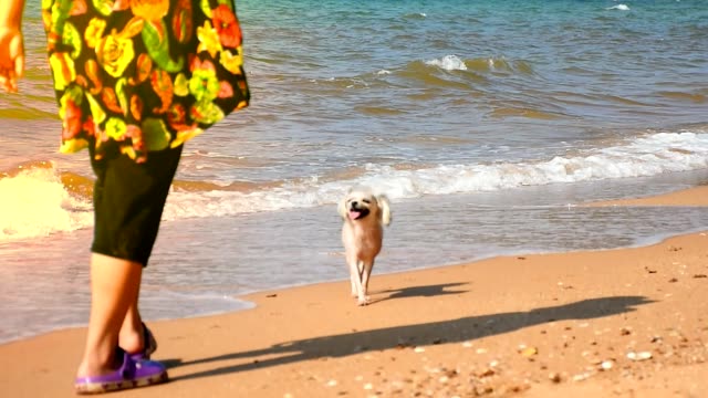 Frau-halten-den-Hund-am-Strand