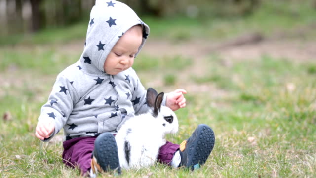 Cute-little-baby-boy,-child-playing-little-bunny-in-park,-outdoors