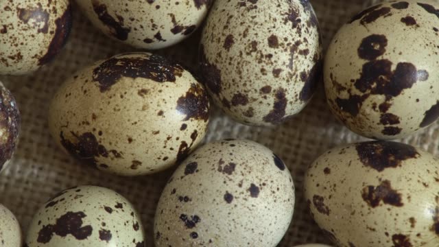 Uncooked-quail-eggs-in-pack.-Rotating-and-closeup.-Nobody
