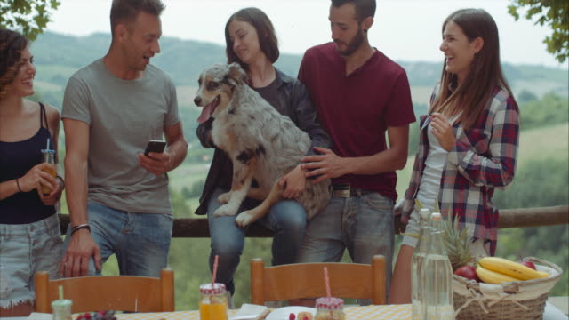 group-of-friends-having-a-break-in-the-countryside--with-a-funny-dog.-shot-in-slow-motion