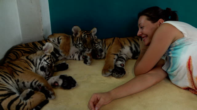Mädchen-liegt-mit-dem-Tiger-Cubs.-Tiger-steht-auf-und-geht