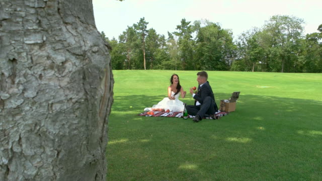 Recién-casados-en-picnic.