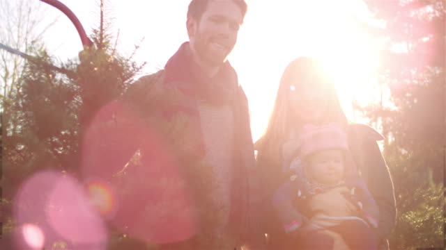 Portrait-of-a-young-mother,-father-and-their-baby-girl-at-a-Christmas-tree-farm,-lens-flare