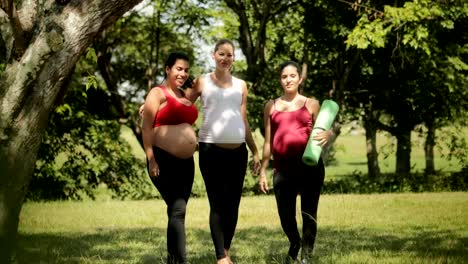 Slowmotion-Portrait-Pregnant-Women-Working-Out-Yoga-Outdoors
