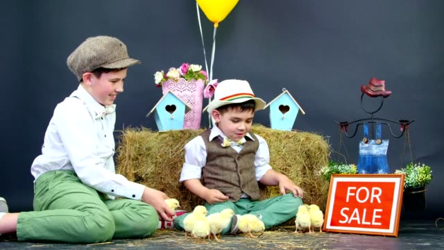 Village,-stylishly-dressed-boys-play-with-ducklings-and-chickens.-Studio-video-with-thematic-decoration.-Nameplate-for-sale