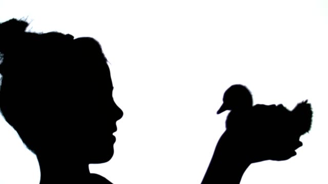 On-a-white-background-black-outlines,-figures,-silhouettes-of-a-profile-of-a-little-girl-and-a-small-duckling-in-her-hands.-The-girl-is-playing-with-a-duckling