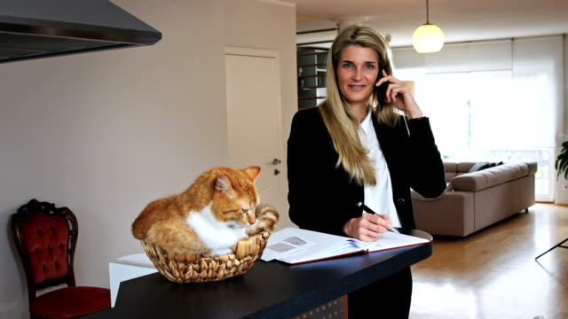 Mujer-de-negocios-hablando-y-escribiendo-y-un-gato-en-una-canasta