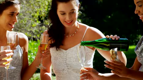 Bride-serving-champagne-to-the-bridesmaids-4K-4k