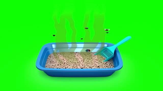 Dirty-Cat-Litter-Box.-3D-animation.-Green-screen,-loopable.