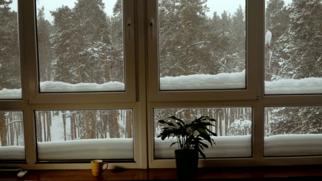 Window.-Window-overlooking-the-snow-covered-forest