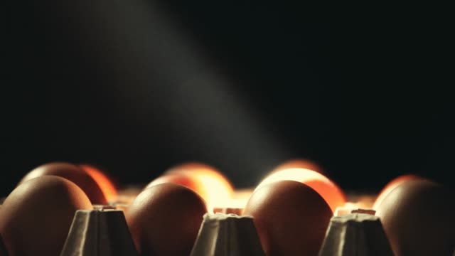 Huhn-Eier-dunkler-Hintergrund
