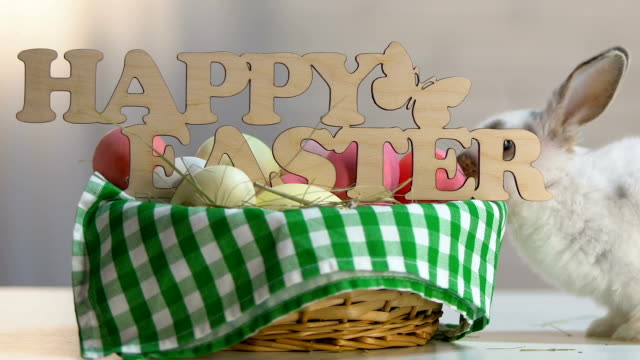 Conejito-travieso-rompiendo-decoración-de-Pascua-en-cesta-con-huevos-de-colores