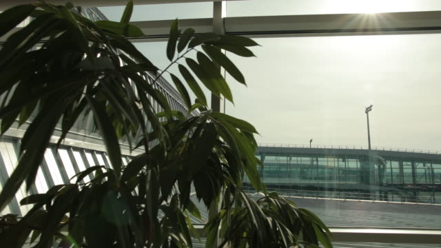 Green-plant,-metallic-architectural-constructions-at-airport-inside-terminal.