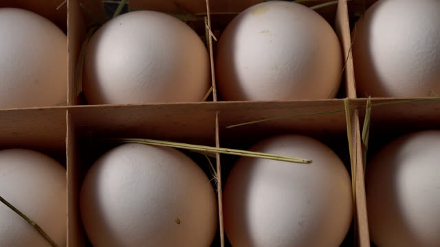 Pack-variety-of-fresh-farm-eggs-in-cardboard-carton,-close-up.