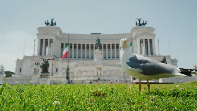 Seagull-on-the-background-Monumento-Nazionale-a-Vittorio-Emanuele-II-at-Piazza-Venezia,-Piazza-Venezia.-Tourism-in-Rome