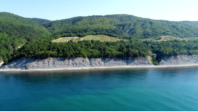 Fotografía-aérea,-mar-azul,-bosque-verde-y-rocoso-acantilado.