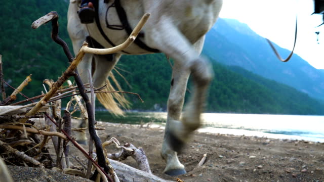 Junge-Reiter-auf-dem-Pferd-spazieren-Sie-entlang-der-sandigen-Ufer-eines-Bergsees.