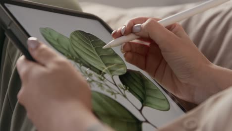 Artista-dibujo-plantas-en-home-habitación-o-mujer-usando-la-tableta-y-la-pluma-para-el-arte-digital