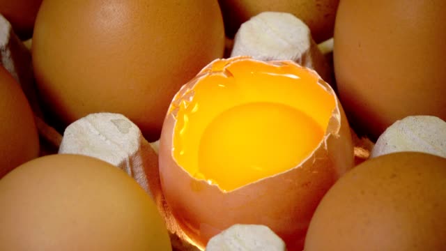 Eggs-lie-in-the-cardboard-support,one-egg-broken