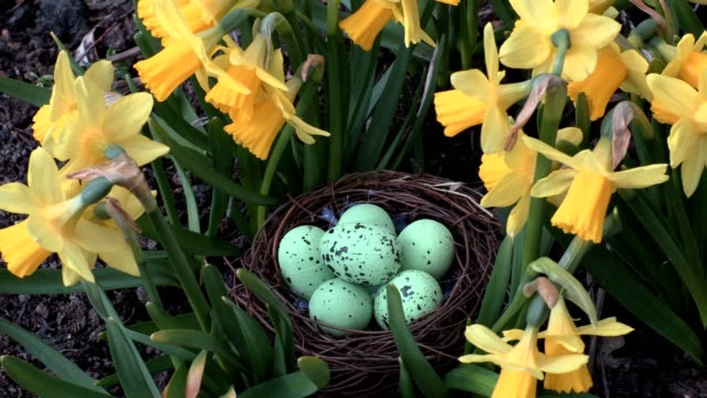 Easter-eggs-in-nest-near-flowers