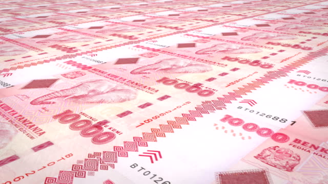 Banknoten-der-zehntausend-tansanische-Schilling-von-Tansania,-Bargeld,-Schleife