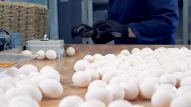 Verpackung-von-frischen-Eiern-in-das-Ei-Sortierung-Fabrik-Arbeiter.