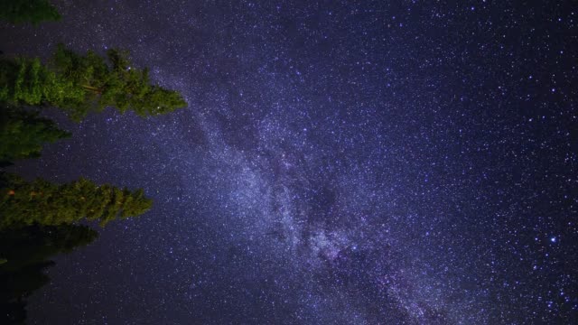 Meteorschauer-mit-Milchstraße-Sterne-drehen-über-Waldbäume-(Zeitraffer)