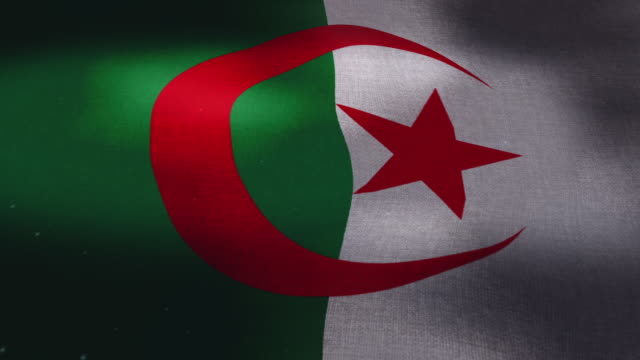 Nationalflagge-Algerien---winken