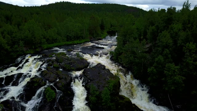 Aerial-gleiten-durch-den-Wald-Fluss-in-Karelien,-Russland