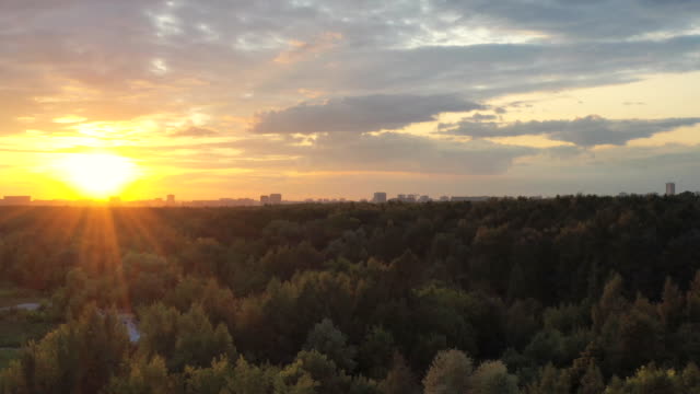 Flying-over-the-trees-of-a-large-city-Park-towards-the-sunset