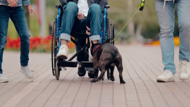 Dog-plays-with-its-owner,-boy-in-a-wheelchair.-Bottom-view.