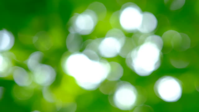 Bokeh-background-of-Green-leaf-and-Sky-light