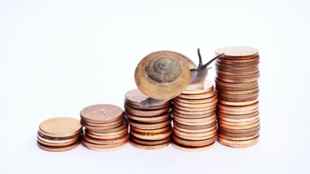 Snail-climbing--the-pile-of-copper-coins-on-white-background