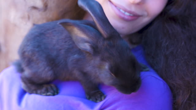 Concept-cute-beautiful-animals.-Bunny-in-the-hands-of-a-teenage-girl.-Livestock-and-farming,-rabbit-farm,-children-and-animals,-summer-vacation.-Contact-with-bunny-and-pets.-Close-up.
